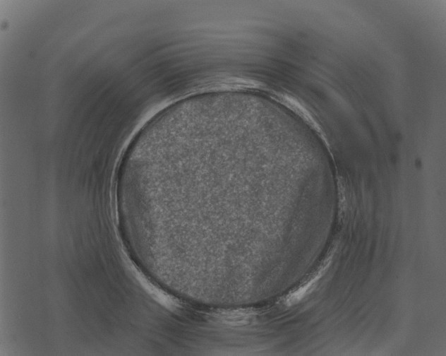 X0000073430843200608251613