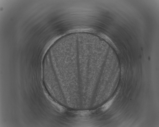 X0000073430844200608251613