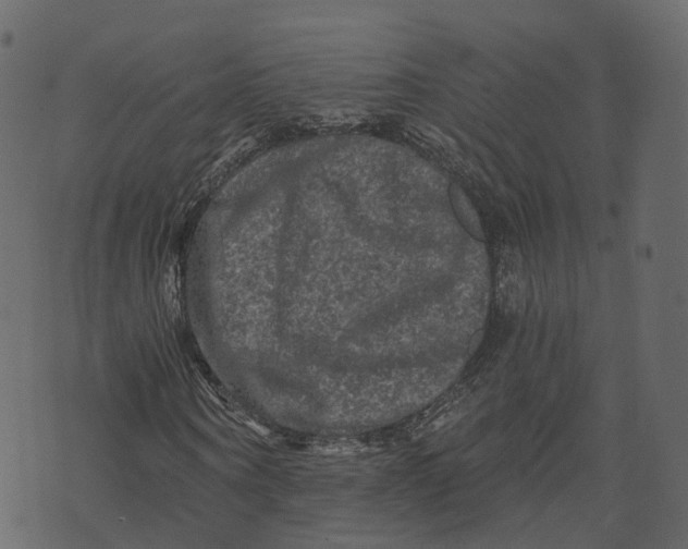 X0000073430866200608251613