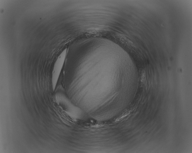 X0000073430868200608251613