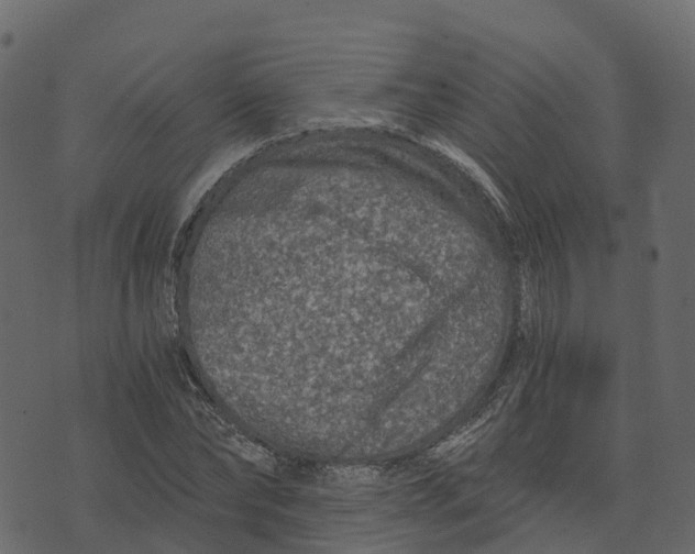 X0000073430878200608251613