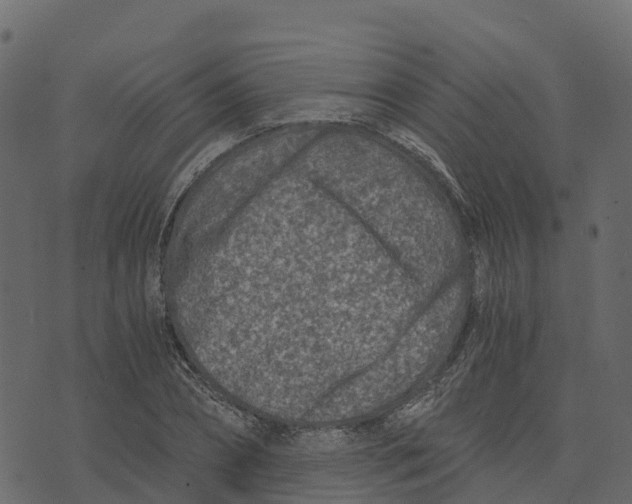 X0000073430882200608251613