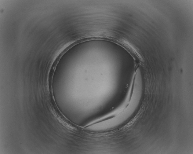 X0000073430884200608251612