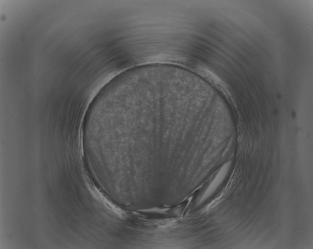 X0000073430892200608251612