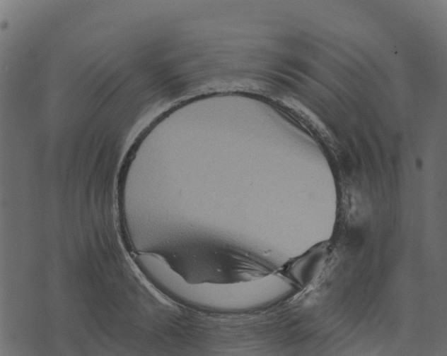 X0000073430894200608251612