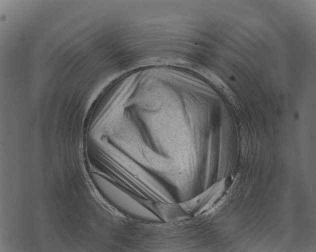 X0000073430896200608251612