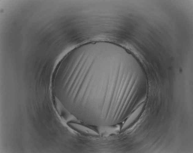 X0000073430902200608251612