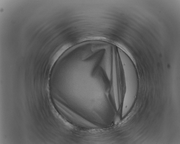 X0000073430906200608251612