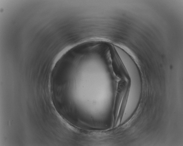 X0000073430910200608251612