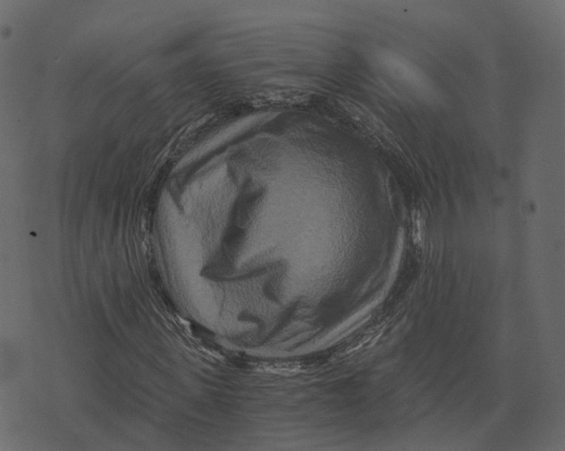 X0000073430915200608251611
