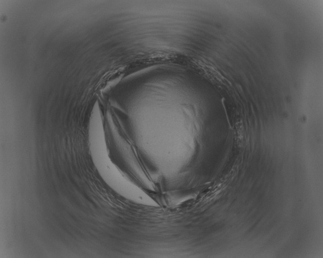 X0000073430916200608251611