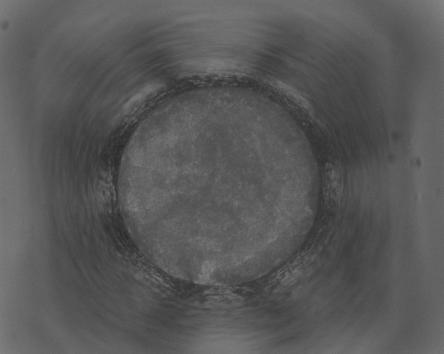 X0000073430918200608251611