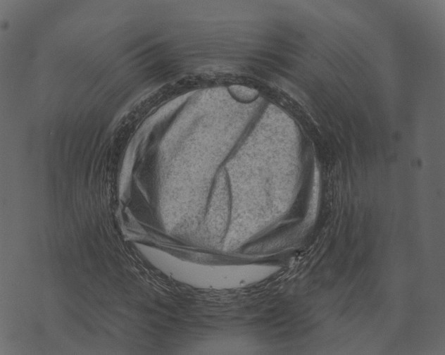 X0000073430919200608251611