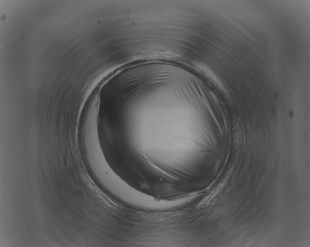 X0000073430932200608251612