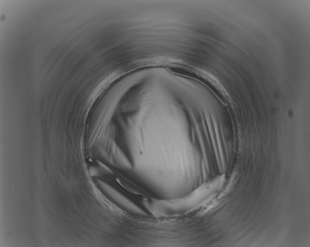 X0000073430946200608251612