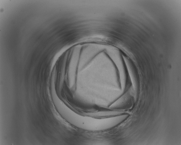 X0000073430960200608251612