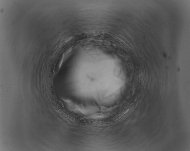 X0000073430961200608251611
