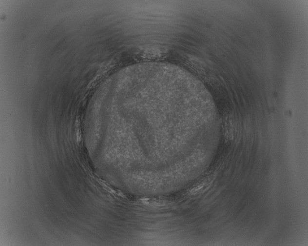 X0000073430962200608251611