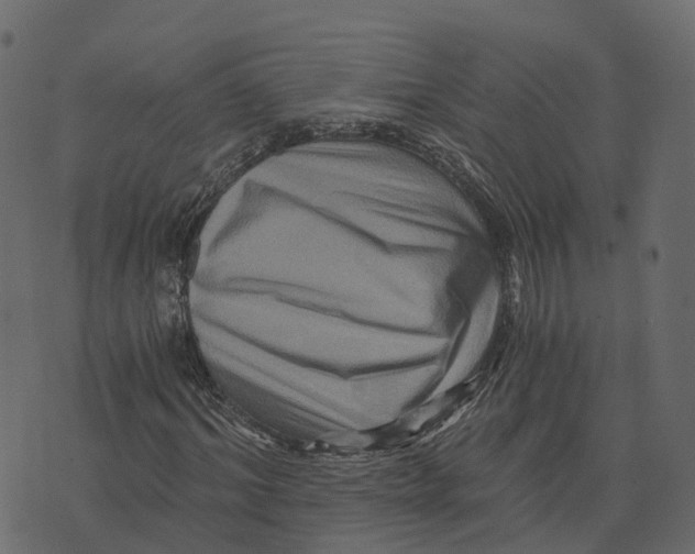 X0000073430964200608251611