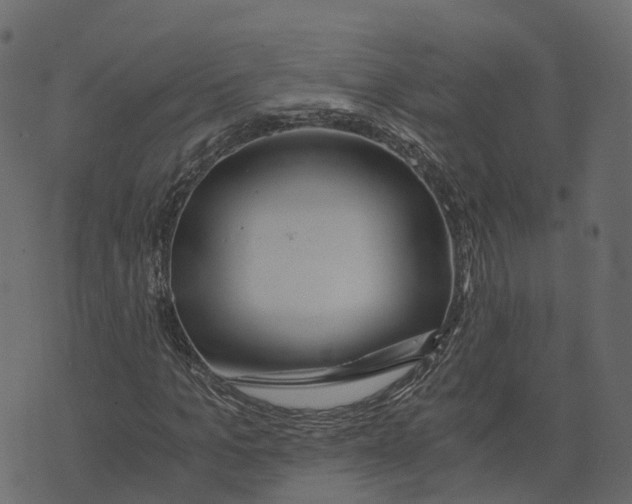 X0000073430965200608251611