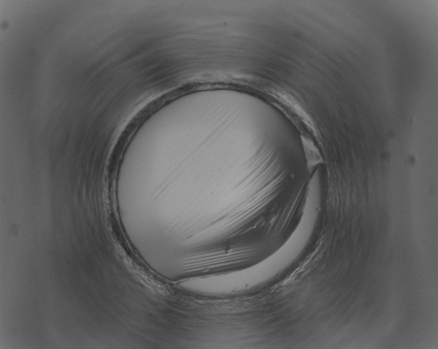 X0000073430976200608251611