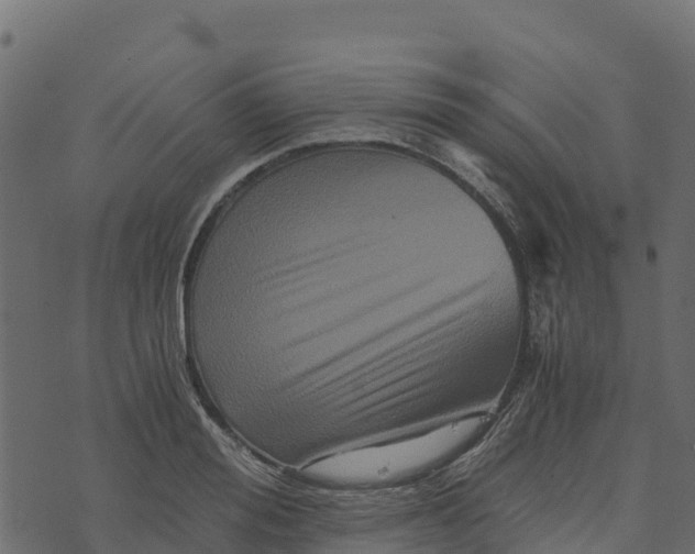 X0000073430988200608251611