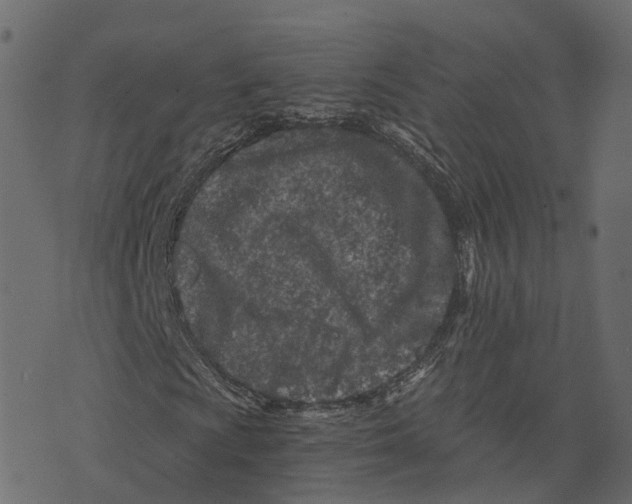 X0000073431009200608251610