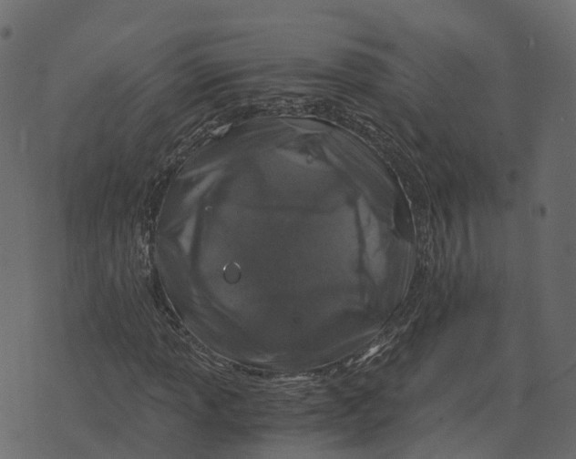 X0000073431013200608251610