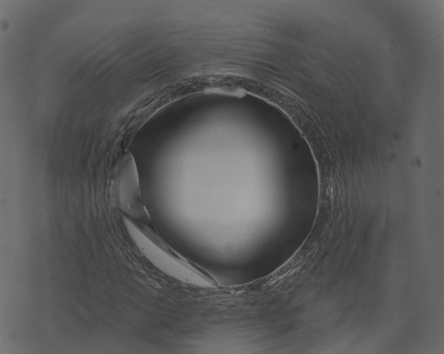 X0000073431014200608251610