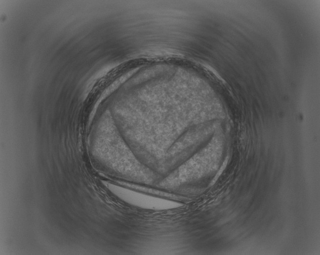 X0000073431016200608251610