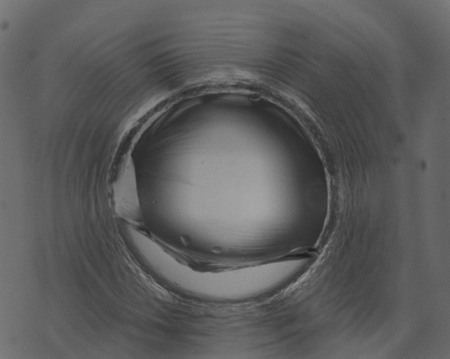 X0000073431018200608251610