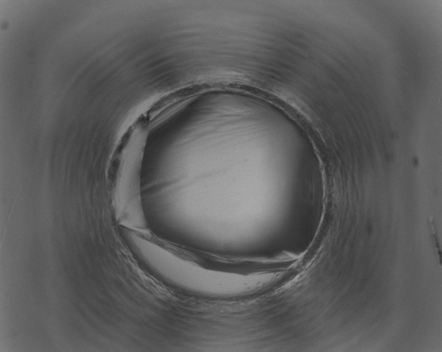 X0000073431022200608251610
