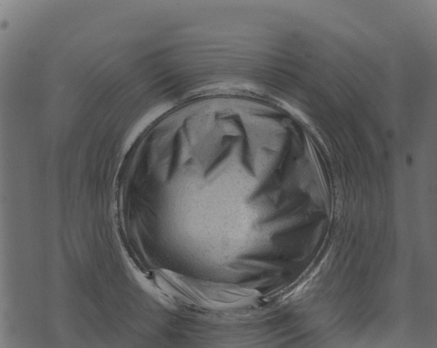 X0000073431042200608251610