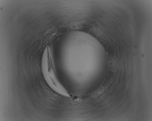 X0000073431058200608251610