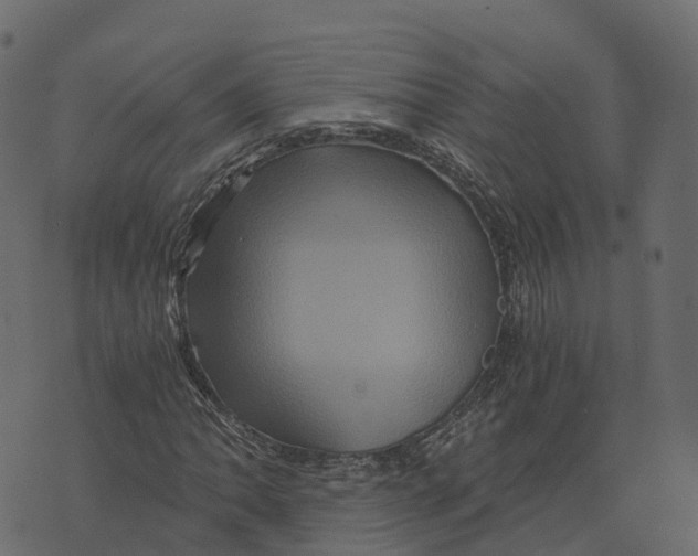 X0000073431062200608251610