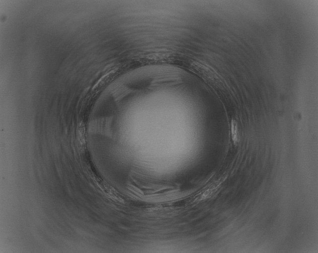 X0000073431107200608251608