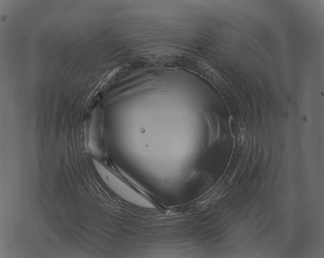 X0000073431108200608251608