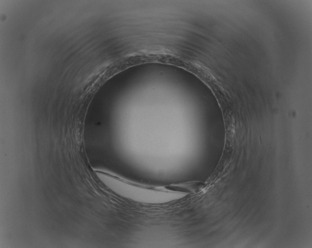 X0000073431110200608251608