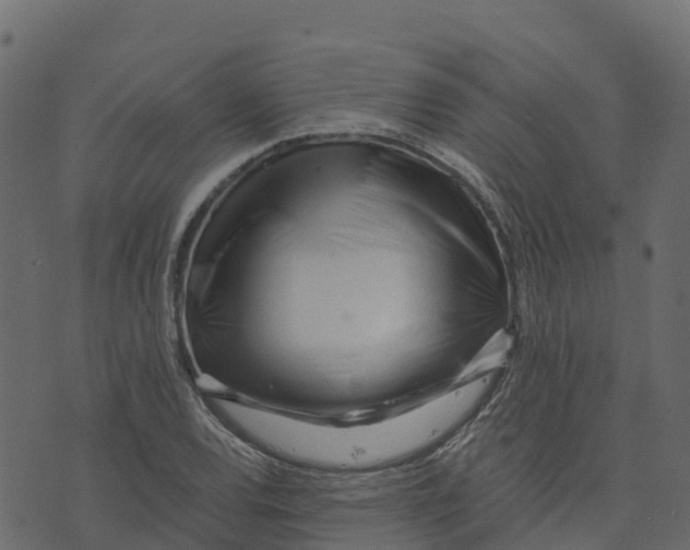 X0000073431120200608251608