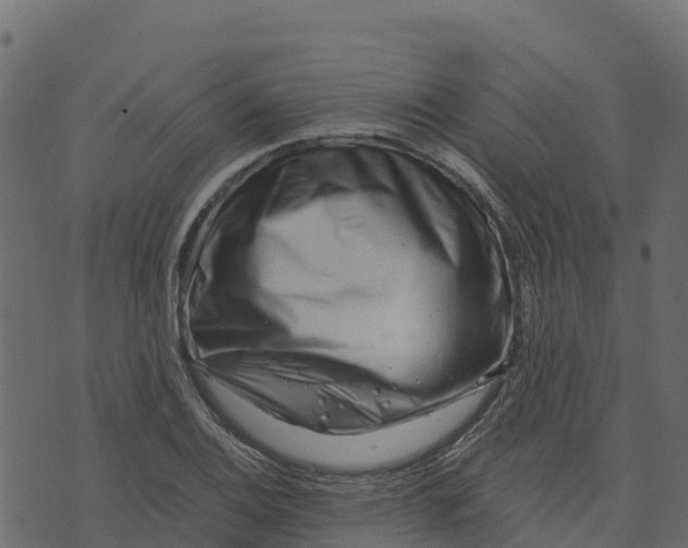 X0000073431124200608251608