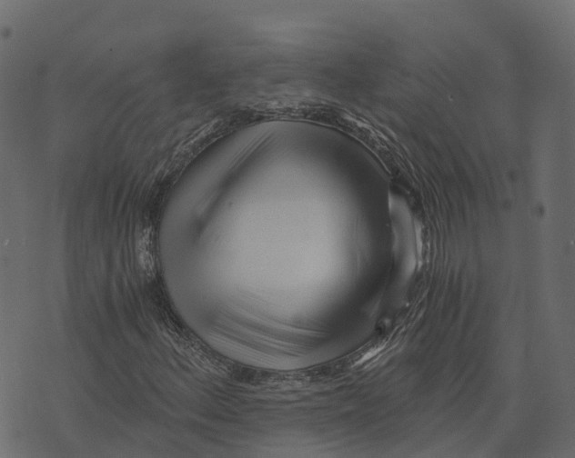 X0000073431156200608251608