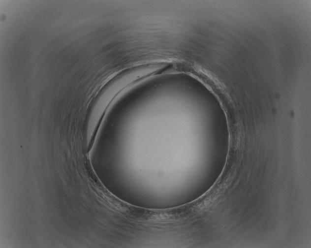 X0000073431169200608251608