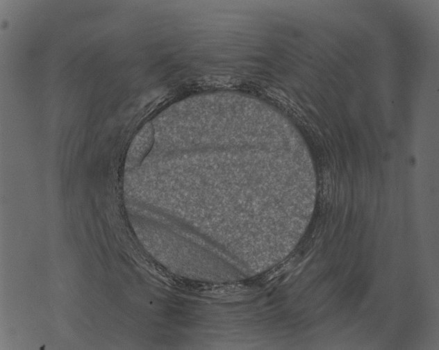 X0000073431201200608251606