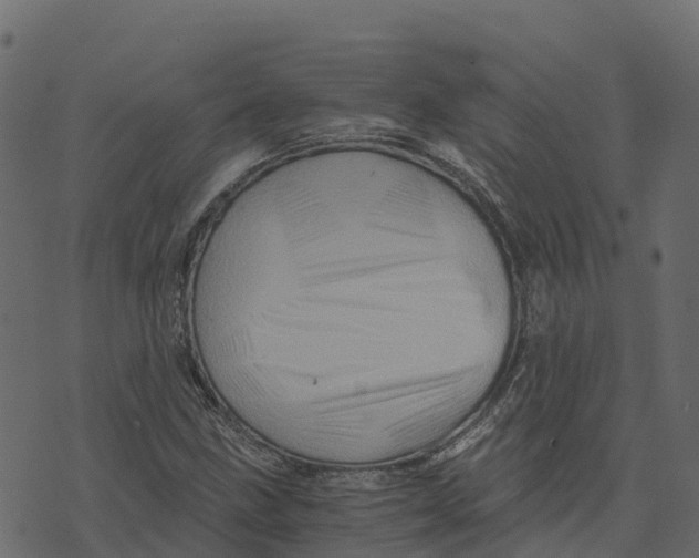 X0000073431211200608251607