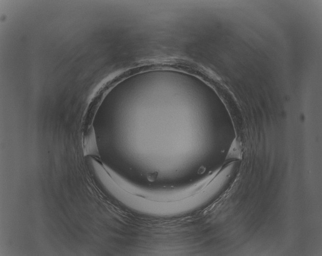 X0000073431214200608251607