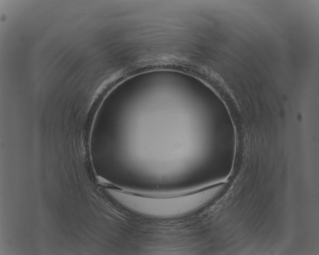 X0000073431218200608251607