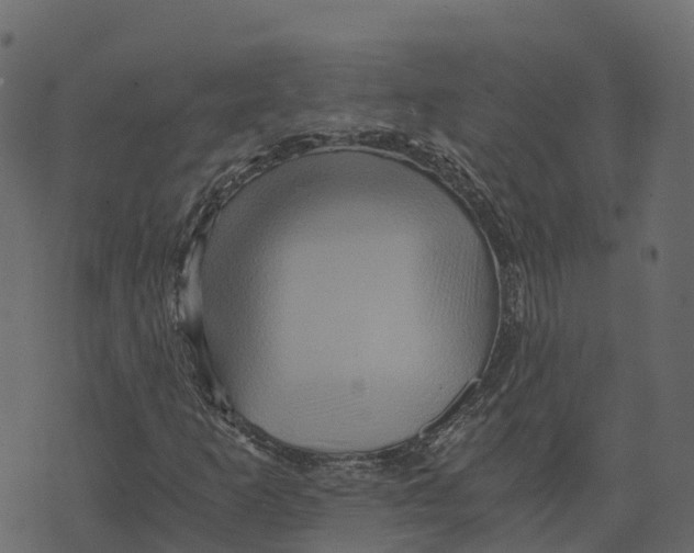 X0000073431253200608251606
