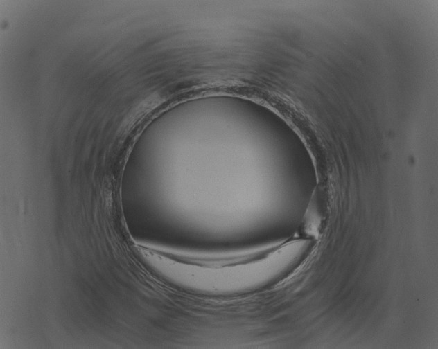 X0000073431257200608251606