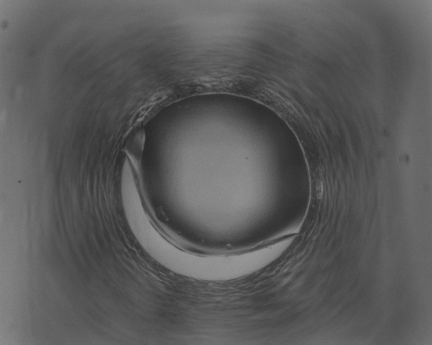 X0000073431298200608251605