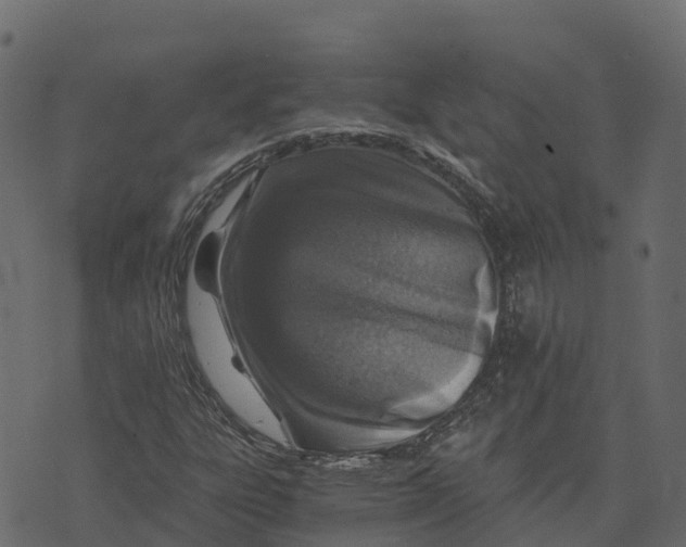 X0000073431303200608251605